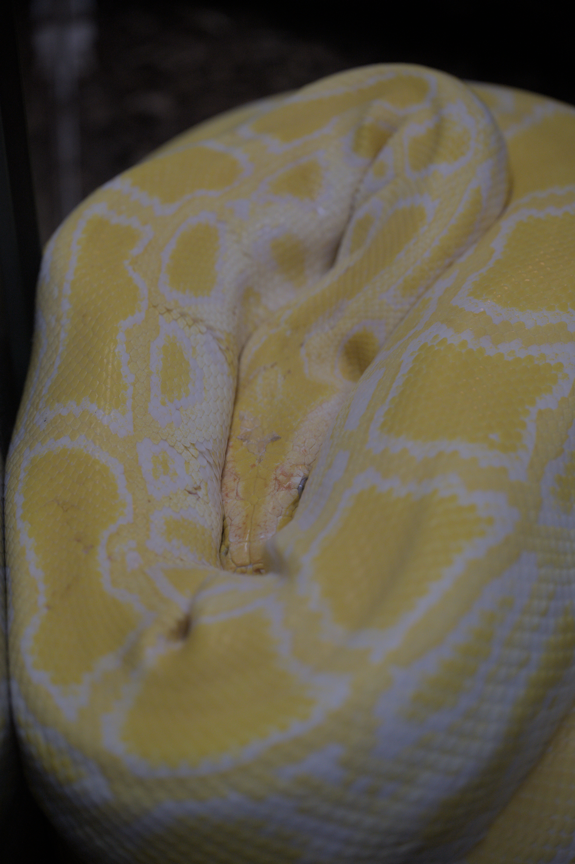 2025/10/12 - zoo/DSC_0195.jpg